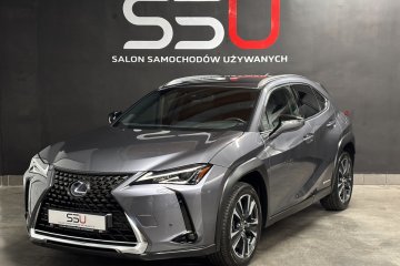 250h 184 KM Style Full-LED Kamera Alcantara Alu 18